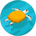 Anna Stinson profile picture